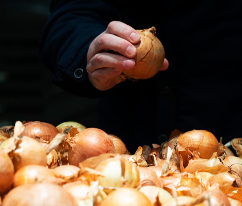 Distribución y venta de cebollas en Madrid