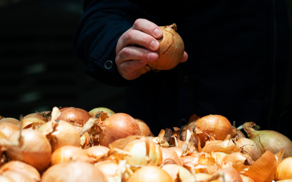 Distribución y venta de cebollas en Madrid