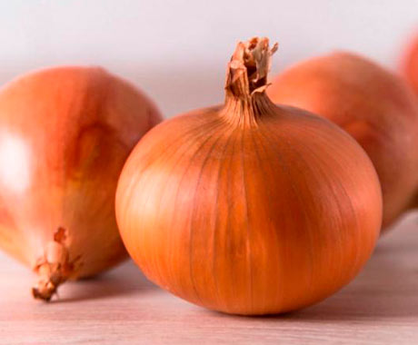 Cebolla Amarilla Lucio