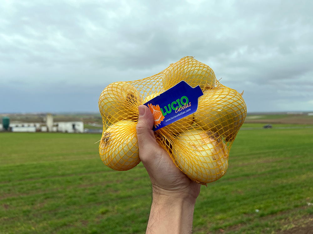 Distribución y venta de cebollas en Madrid